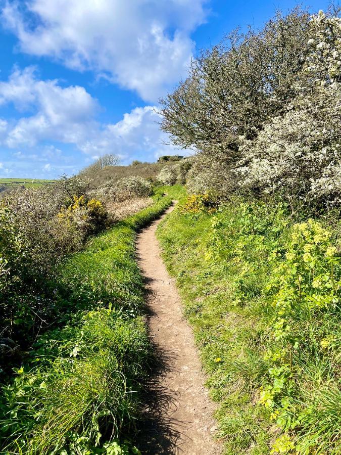 Unique Retreat - 2 Bedroom Cliff Top Cottage With Large Terrace Portloe Bagian luar foto